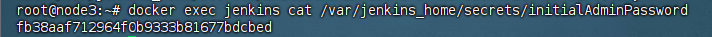 Jenkins 查看初始密码