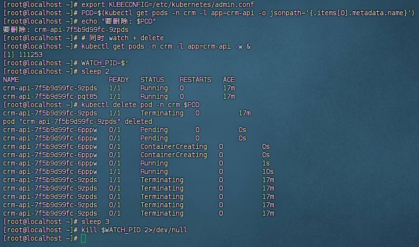 故障转移 kubectl watch实时Pod替换过程