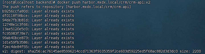 docker push v2成功