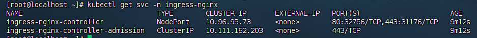 ingress-nginx svc NodePort